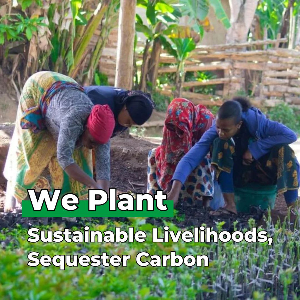 Gift Us a Forest – 200 Trees to Celebrate Our Love – “Roots of Love”