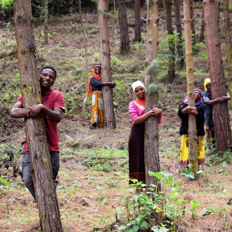 Merry Christmas Holiday Greetings Pack, We Plant 60 More Trees