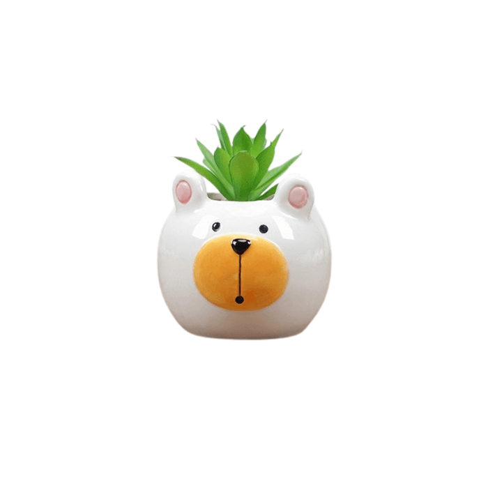 Cute Bear Succulent Planter